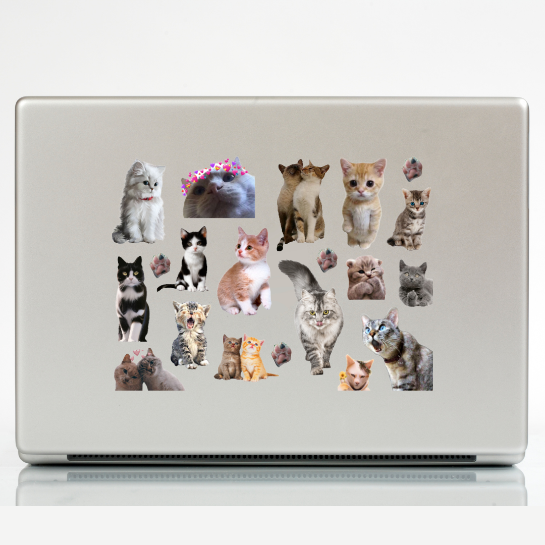 41'li Kedi, Kitty, Fairycore, Sevimli hayvanlar Sticker Etiket Seti
