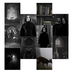 Harry Potter Duvar Kağıdı Seti-Severus Snape