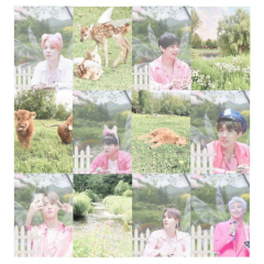 Orora KPOP BTS Cottagecore Fairycore Poster Duvar Kağıdı Seti