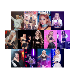 KPOP Blackpink Rose Poster Seti-Dekor