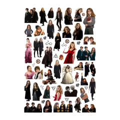 55 Adet Harry Potter Sticker Hermione Granger Seti-HP Etiket Seti