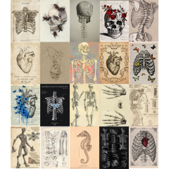 Fairygrunge Gotik Poster Seti- 20 Adet-A5