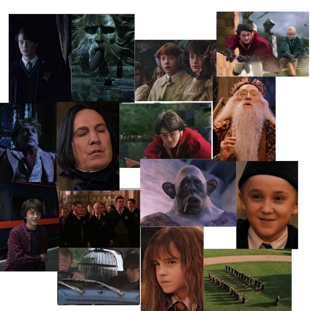 Orora Harry Potter HP Hogwarts Dobby Poster Duvar Kağıdı Seti