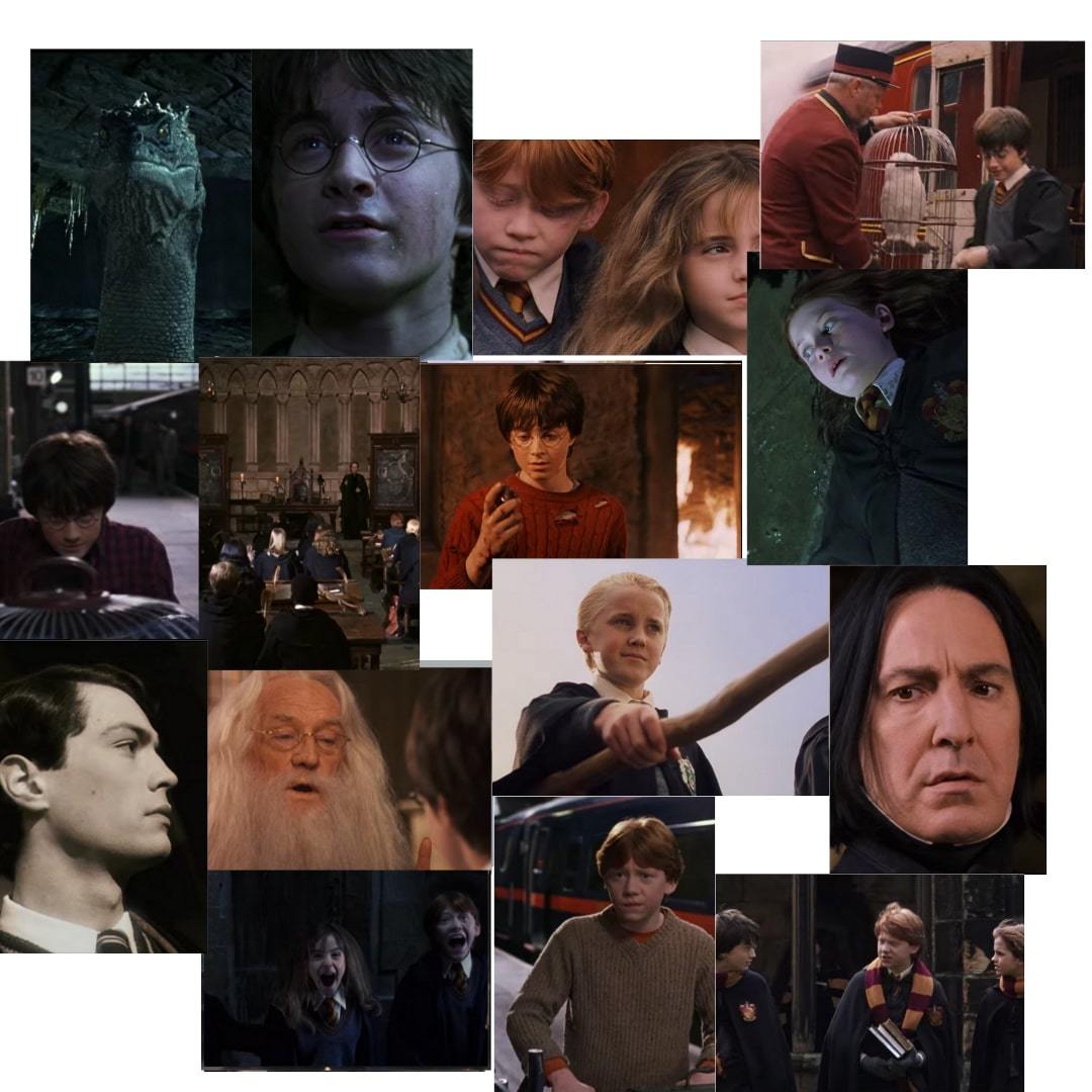 Orora Harry Potter HP Hogwarts Dobby Poster Duvar Kağıdı Seti