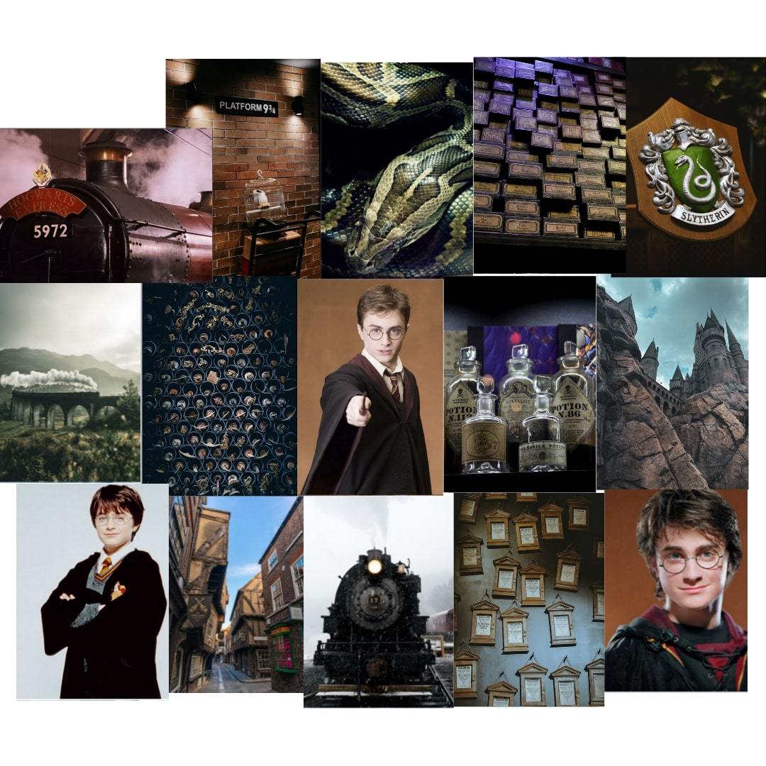 Orora Harry Potter HP Hogwarts Dobby Poster Duvar Kağıdı Seti