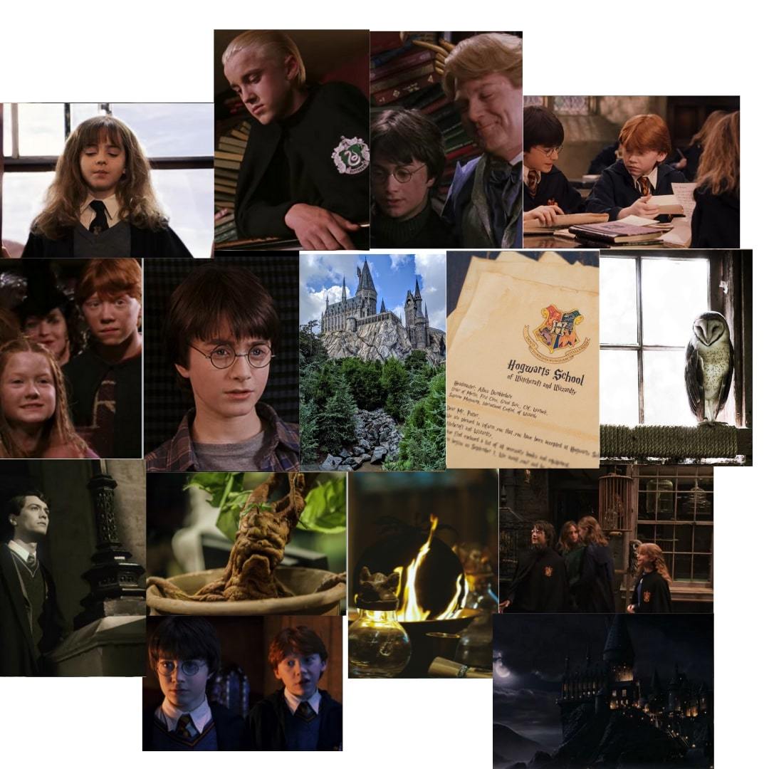 Orora Harry Potter HP Hogwarts Dobby Poster Duvar Kağıdı Seti