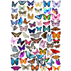 70\'li Fairycore Kelebek Sticker Etiket Seti