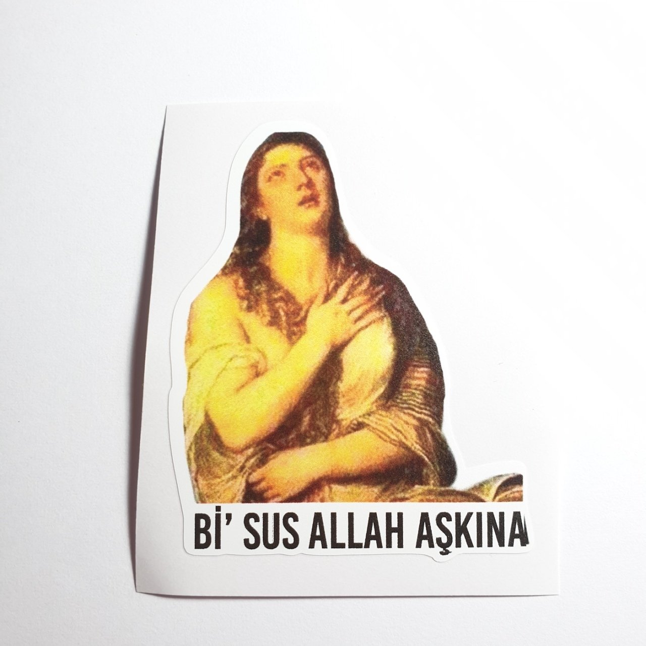 Bi Sus Sticker
