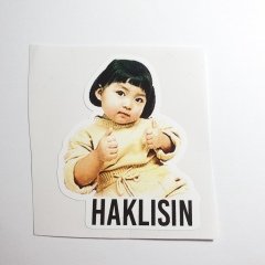 Haklısın Sticker