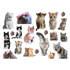 41\'li Kedi, Kitty, Fairycore, Sevimli hayvanlar Sticker Etiket Seti