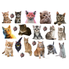 41\'li Kedi, Kitty, Fairycore, Sevimli hayvanlar Sticker Etiket Seti