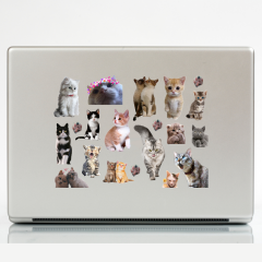 41\'li Kedi, Kitty, Fairycore, Sevimli hayvanlar Sticker Etiket Seti
