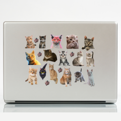 41\'li Kedi, Kitty, Fairycore, Sevimli hayvanlar Sticker Etiket Seti
