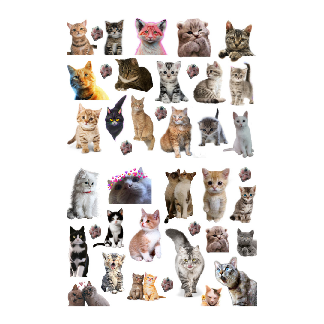 41\'li Kedi, Kitty, Fairycore, Sevimli hayvanlar Sticker Etiket Seti