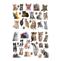 41\'li Kedi, Kitty, Fairycore, Sevimli hayvanlar Sticker Etiket Seti